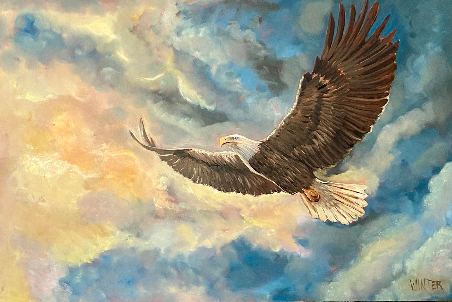 36" x 48" Soar