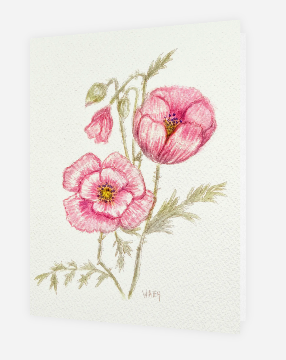 Original Art Printed Note Cards "Pink Poppies"