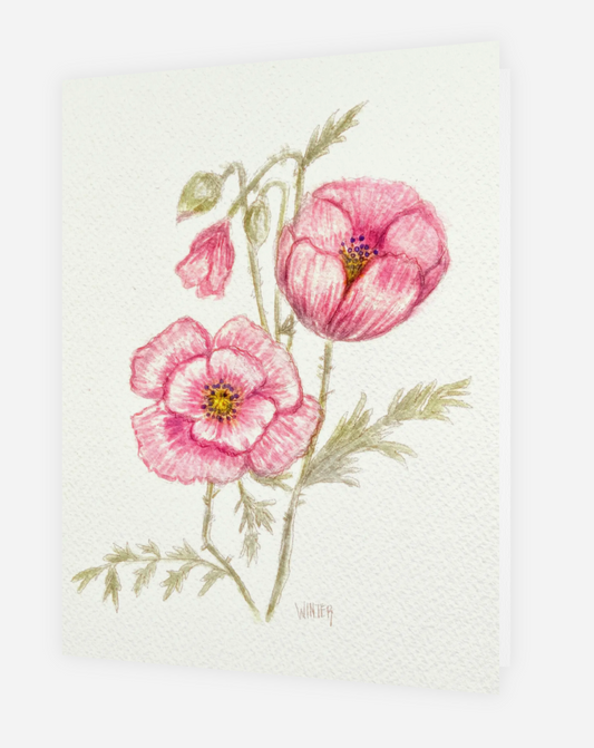 Original Art Printed Note Cards "Pink Poppies"